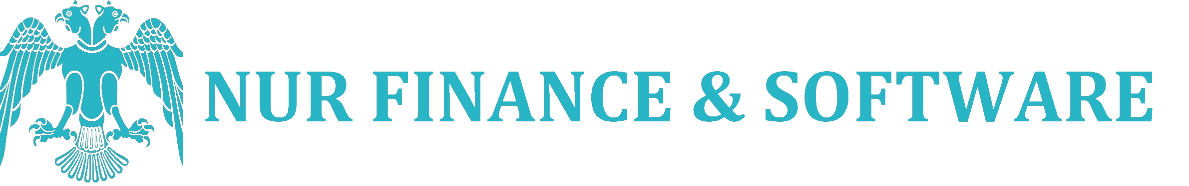 Nur Finance Software Logo